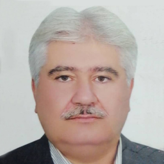 Mohammad HasanPour Motlagh